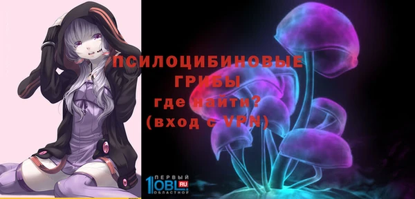 синтетический гашиш Костерёво