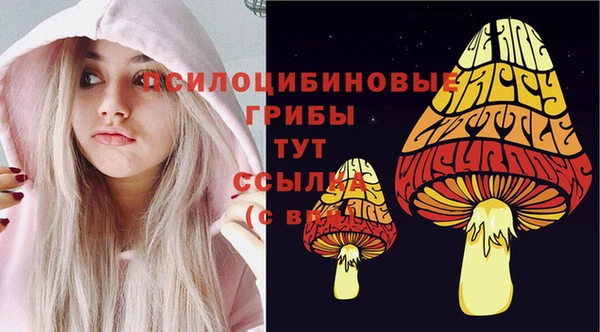 синтетический гашиш Костерёво
