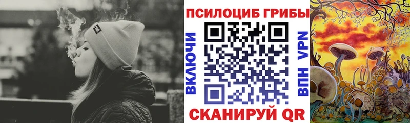 Купить где  Шатура  Псилоцибиновые грибы мицелий 